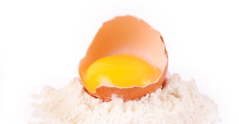 INVESTMENT OPPORTUNITY – EGG POWDER PRODUCTION
